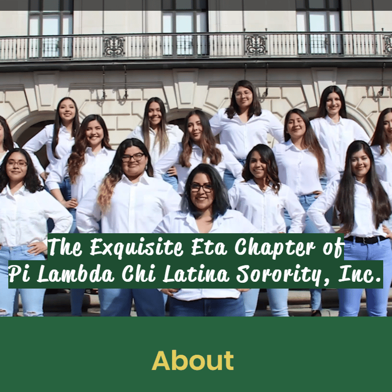 Hispanic and Latino Nonprofits Near Me - UT Austin Pi Lambda Chi Latina Sorority